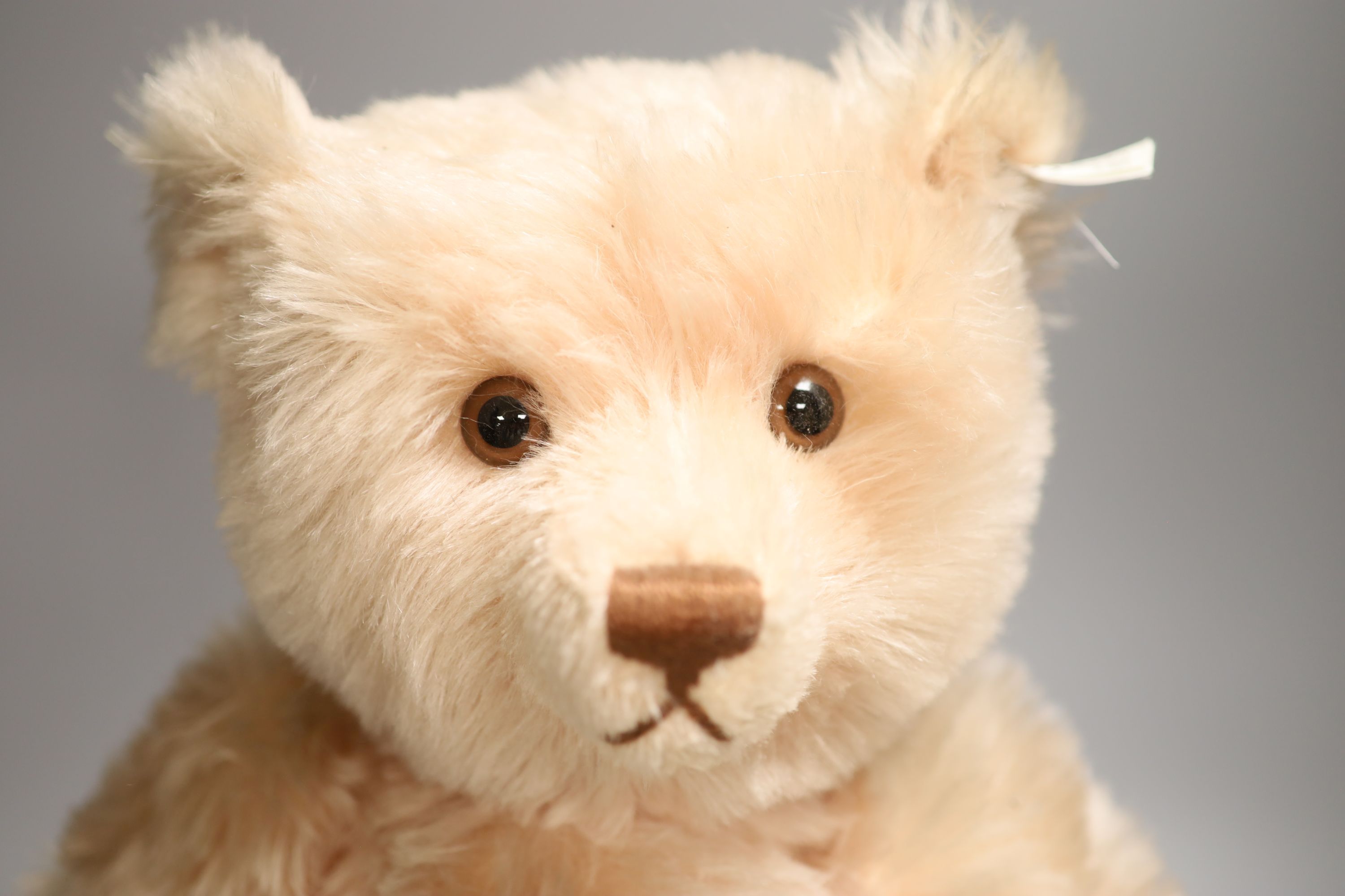 Steiff Teddy Rose replica, box, certificate